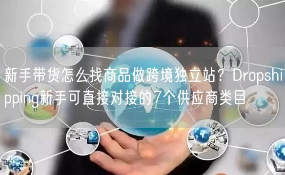 新手带货怎么找商品做跨境独立站？Dropshipping新手