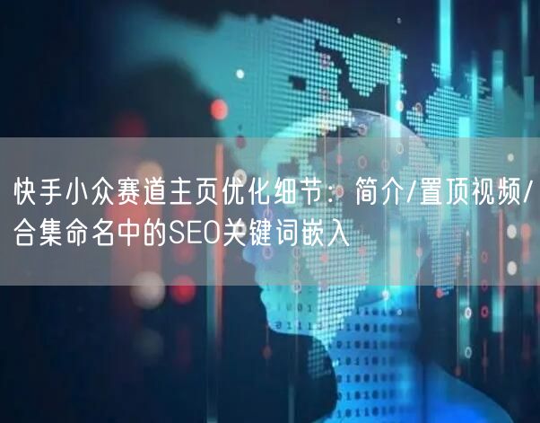 快手小众赛道主页优化细节：简介/置顶视频/合集命名中的SEO关键词嵌入