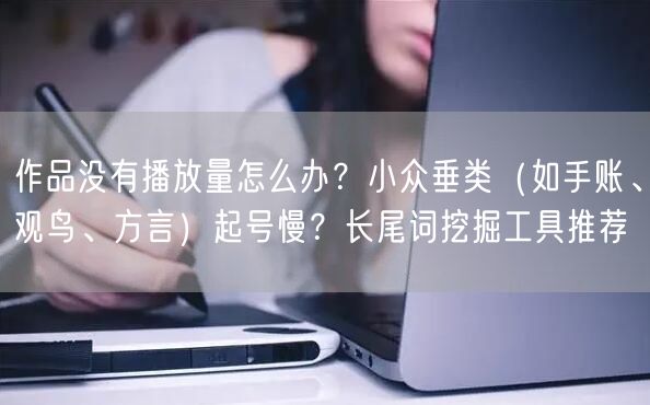 作品没有播放量怎么办？小众垂类（如手账、观鸟、方言）起号慢？长尾词挖掘工具推荐